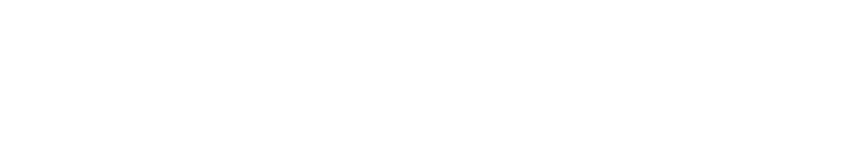 Camel Logo